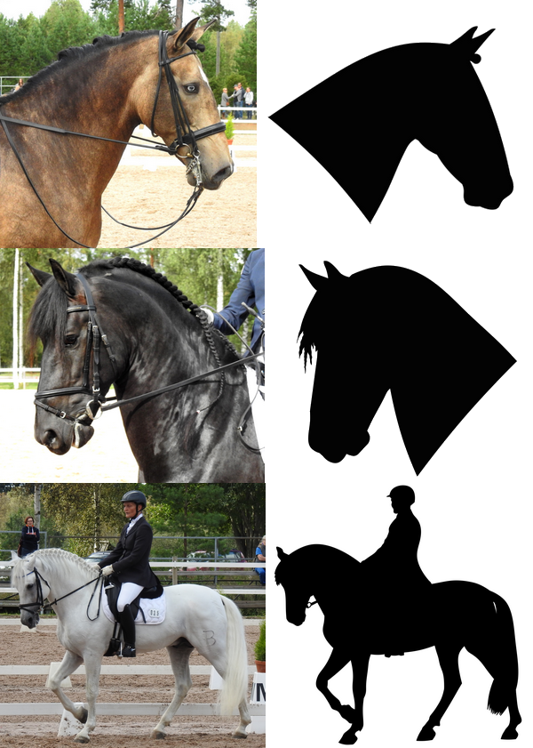 Esimerkkejä hevosten silueteista tarroihin